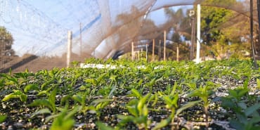 Embracing Sustainable Living: Eco-Friendly Choices for Budget Benefits