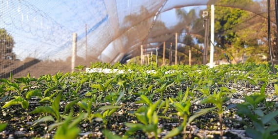 Embracing Sustainable Living: Eco-Friendly Choices for Budget Benefits