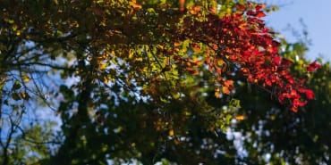 Preparing for Seasonal Expenses: Budget Flexibility for Financial Adaptation