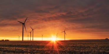 Unleashing the Power of Compound Interest in Your Savings Plan