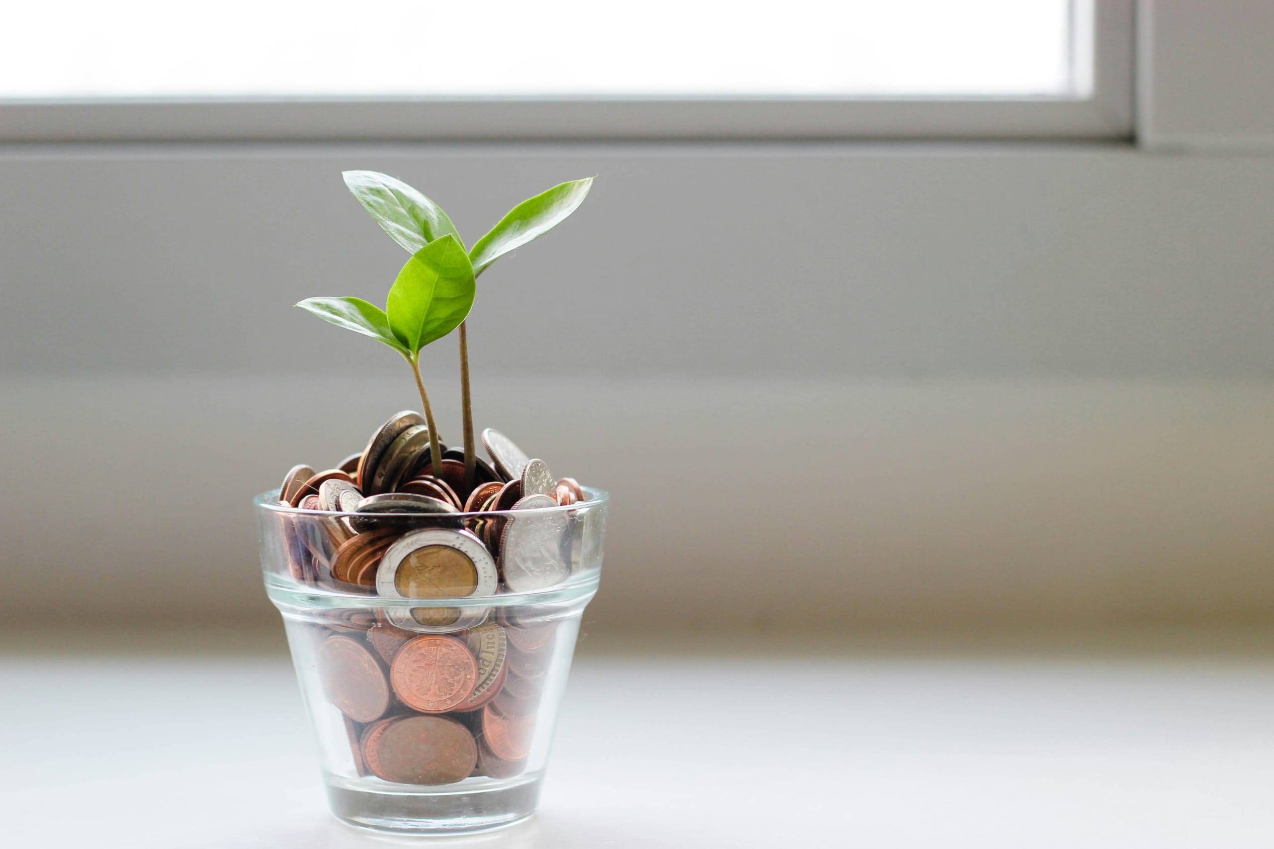 Financial Wellness