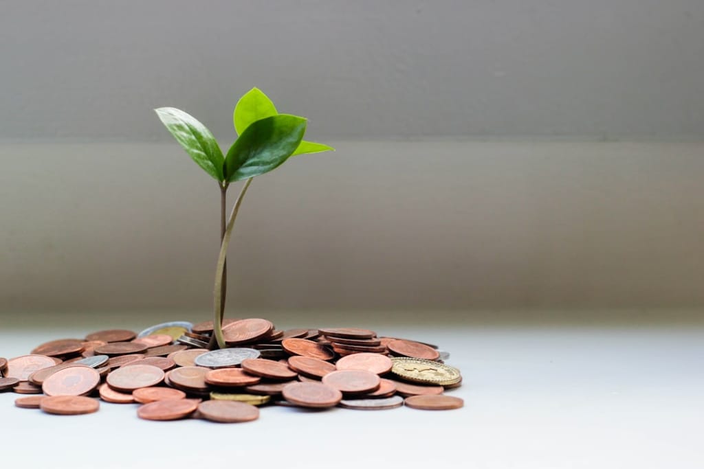Top Money Management Strategies for a Debt-Free Life