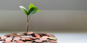 Top Money Management Strategies for a Debt-Free Life