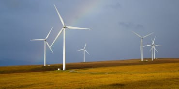 Exploring Sustainable Investment Options