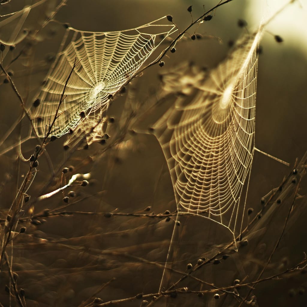 The Hidden Emotional Traps That Keep You from Building Wealth