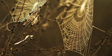 The Hidden Emotional Traps That Keep You from Building Wealth