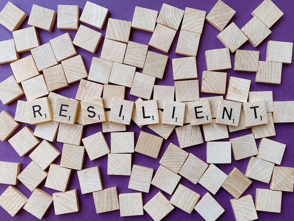 Building Financial Resilience: Preparing for the Unexpected in 2025