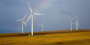 Green Is the New Gold: How Sustainable Investing Went Mainstream
