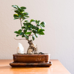 Surviving the Global Cost of Living Crisis: 5 Practical Money Moves
