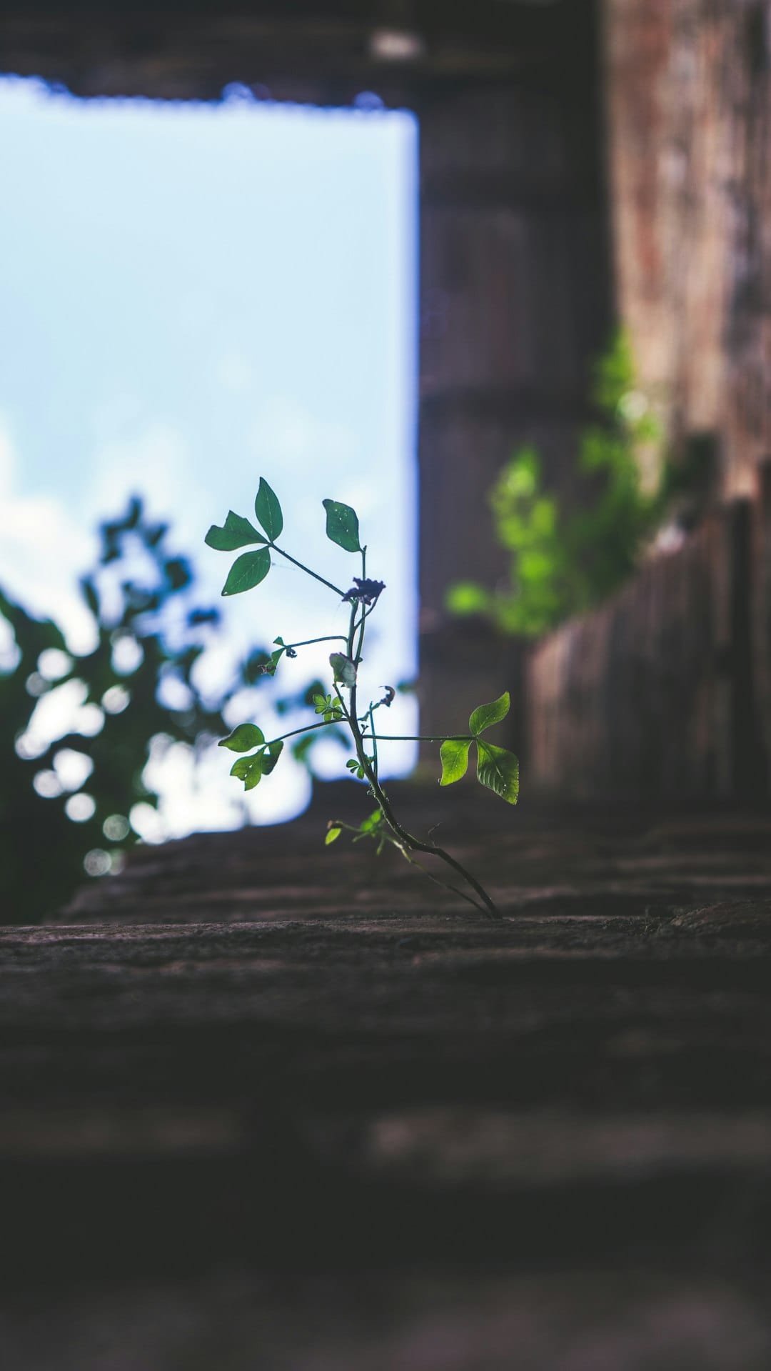 Achieving Long-Term Goals with Financial Literacy and Personal Growth