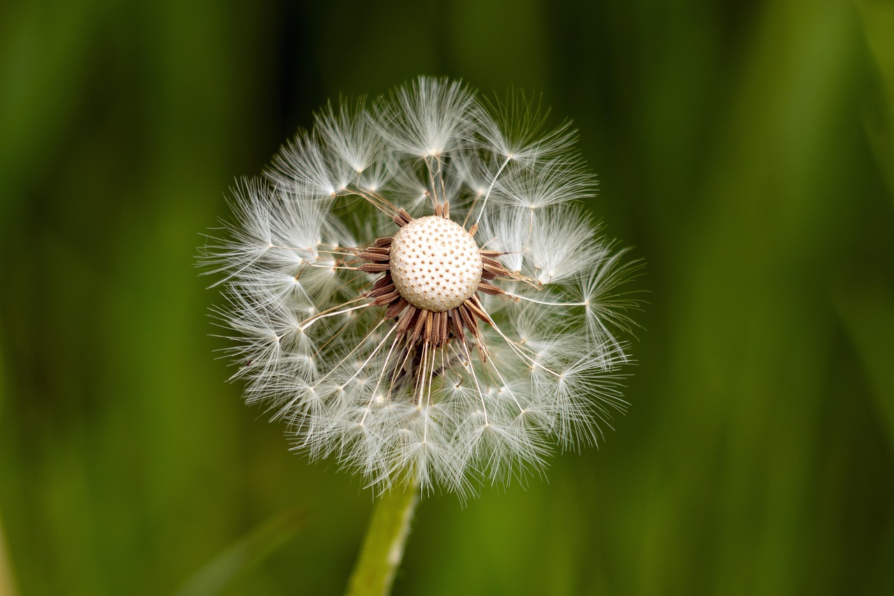 Building Financial Resilience: Preparing for the Unexpected in 2025