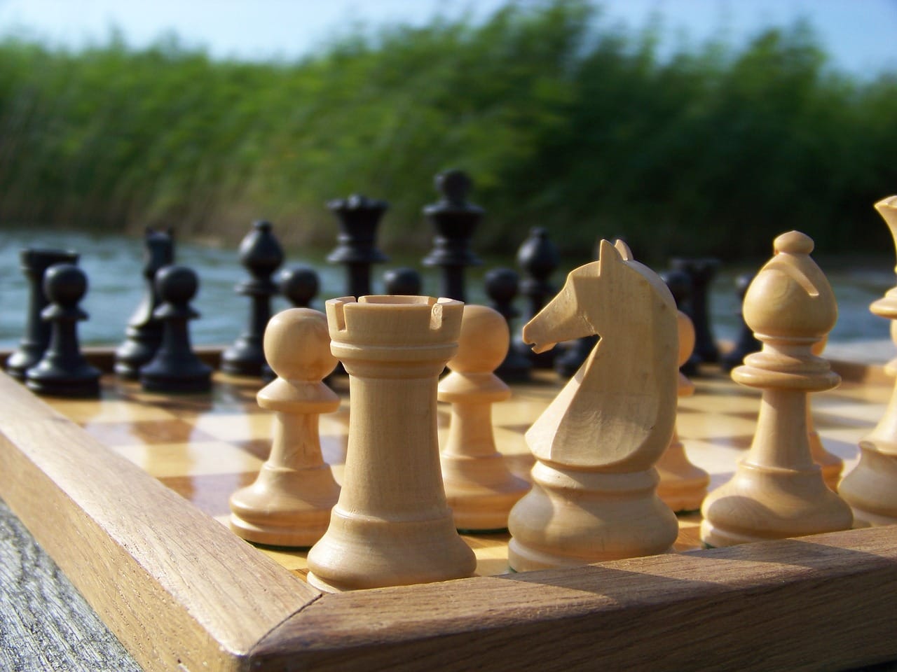 Investing Basics: Starting Your Journey to Financial Growth Investing Basics: Starting Your Journey to Financial Growth