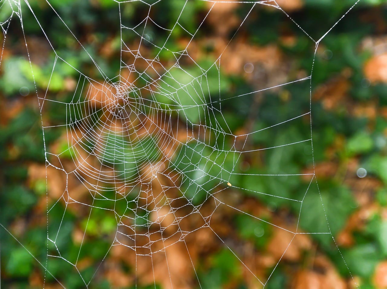 The Hidden Emotional Traps That Keep You from Building Wealth