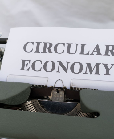 Flip Culture: Why “Easy Profits” Often Cost You Time